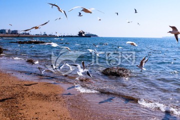 青岛湾风光