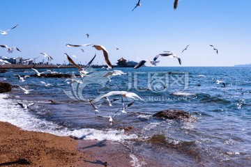 青岛湾风光