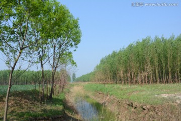 清新 田野