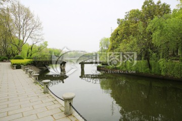 上海野生动物园隔断桥