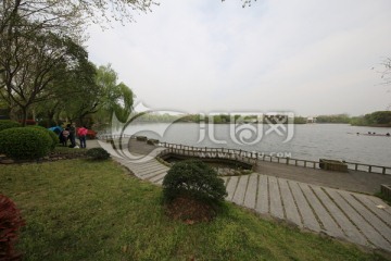 上海野生动物园湖边