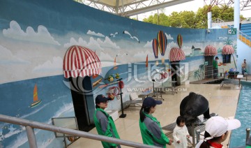 野生动物园 海狮合影