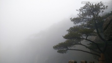 安徽黄山水墨雾景