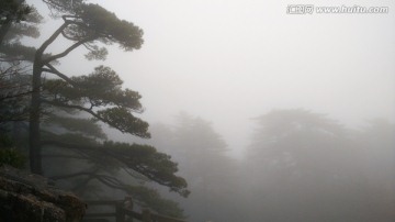 安徽黄山水墨雾景