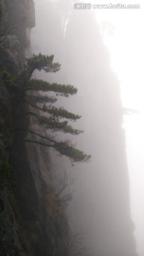 安徽黄山水墨雾景