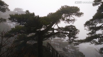 安徽黄山水墨雾景