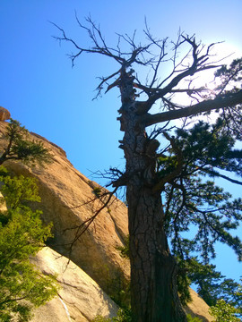 陕西华山