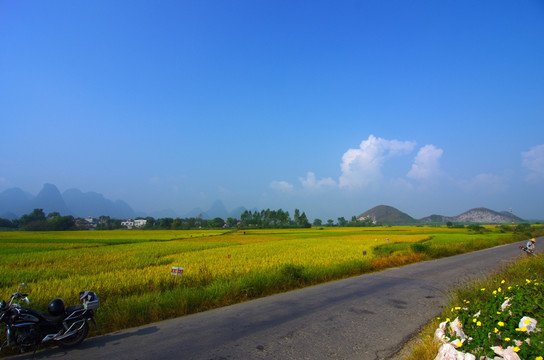 田野 风景