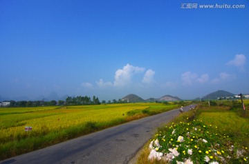 乡村 稻田