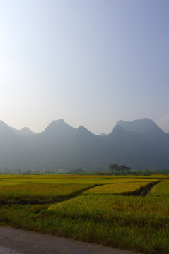 田园风景