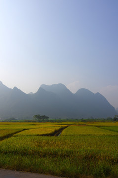 田园风景