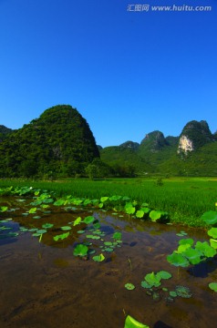 山水 荷田