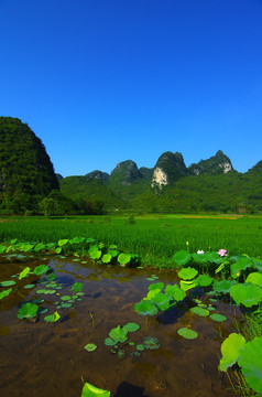 田野 风景