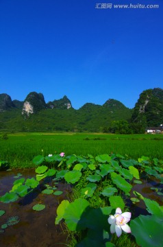 风景