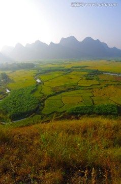 风景 秋天风景