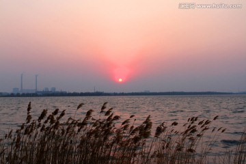 湿地 芦苇 湖泊 风景 水