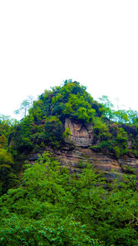 青山  大山