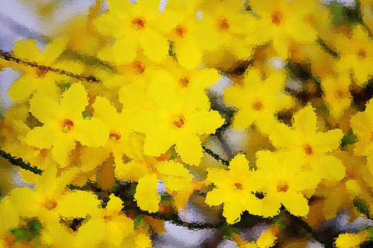 迎春花油畫(huà)