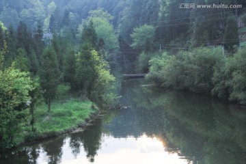 阳光树林湖泊