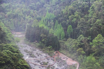 森林河流