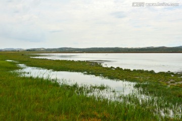 湖岸