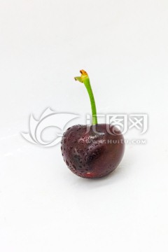 樱桃 红樱桃 cherry