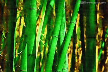 風景畫 竹子 TIF無分層