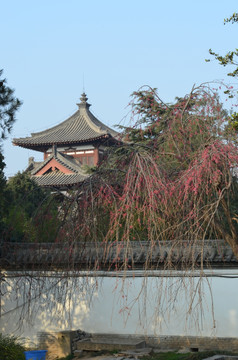 青龙寺