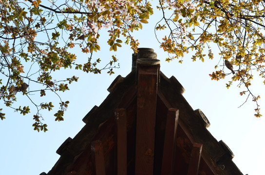 青龙寺