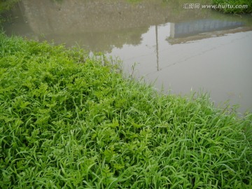 污水沟