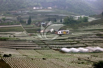 山区农业科技种植