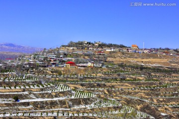 田野