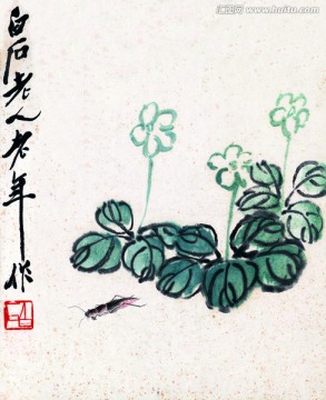 齐白石 花卉国画