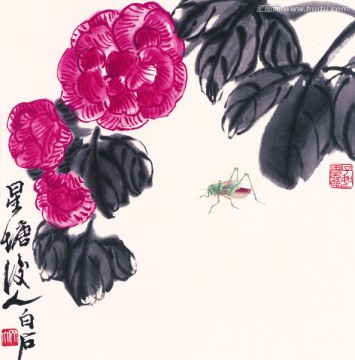 齐白石 花卉国画