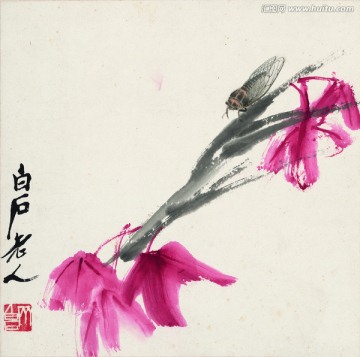 齊白石 花卉國畫
