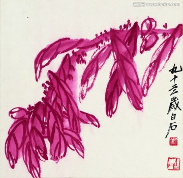 齊白石 花卉國畫