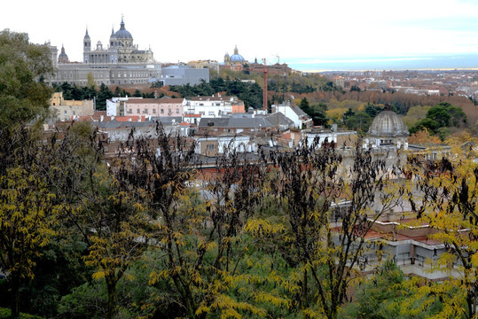 西班牙马德里城堡远眺
