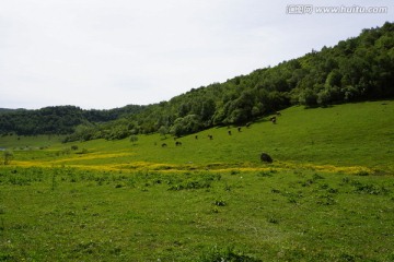 陕西关山牧场