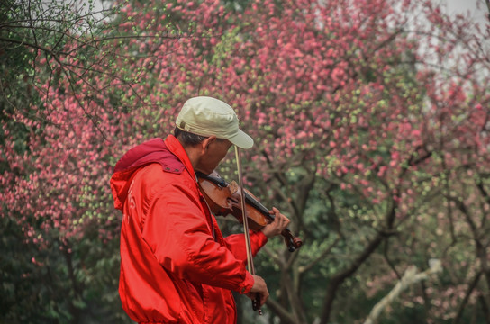 春天的旋律