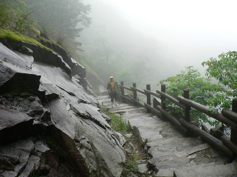 大山 登山 云雾