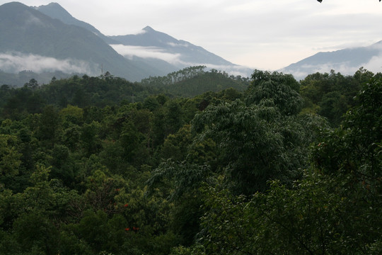 峻岭