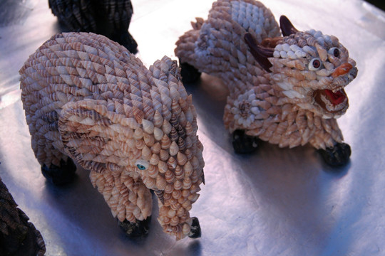海螺丝动物