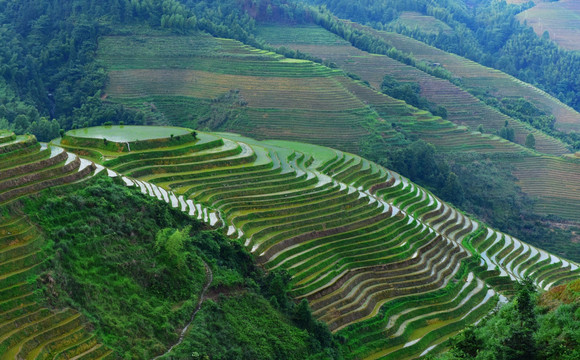 龙胜梯田