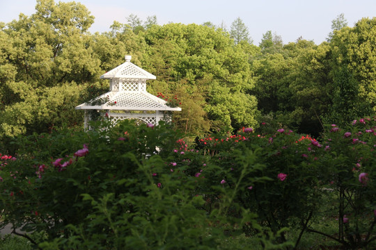 落雁景区风景