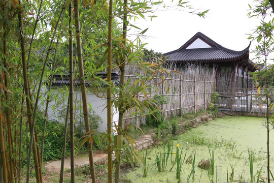 沙湖公园风景