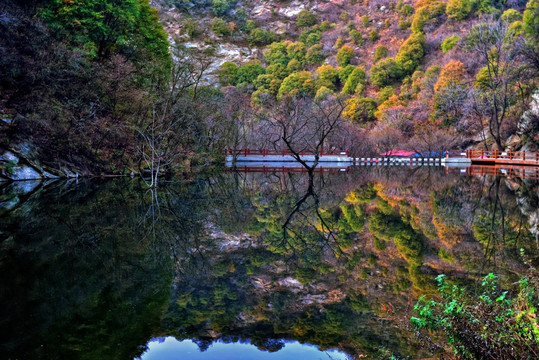 少华山山中深秋