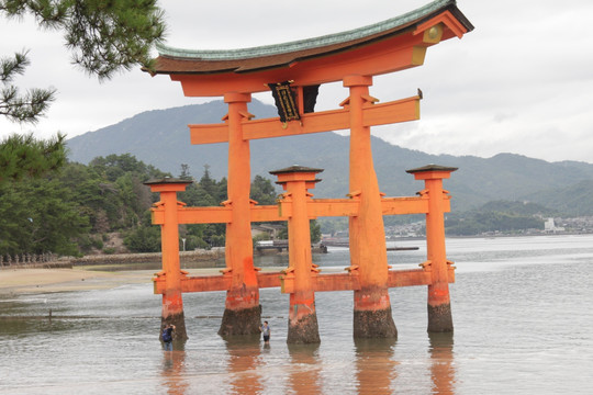 日本广岛县严岛神社红叶谷公园