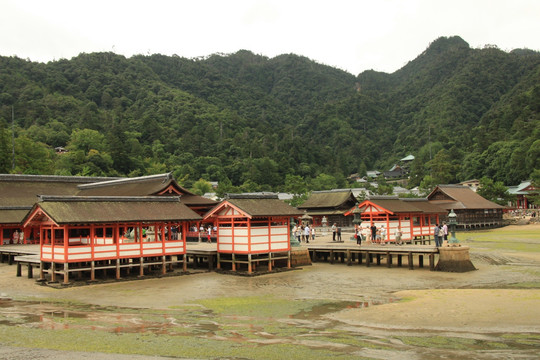 日本广岛县严岛神社红叶谷公园