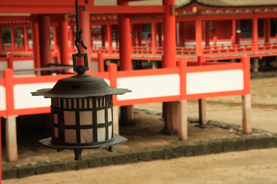 日本广岛县严岛神社红叶谷公园