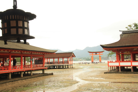 日本广岛县严岛神社红叶谷公园